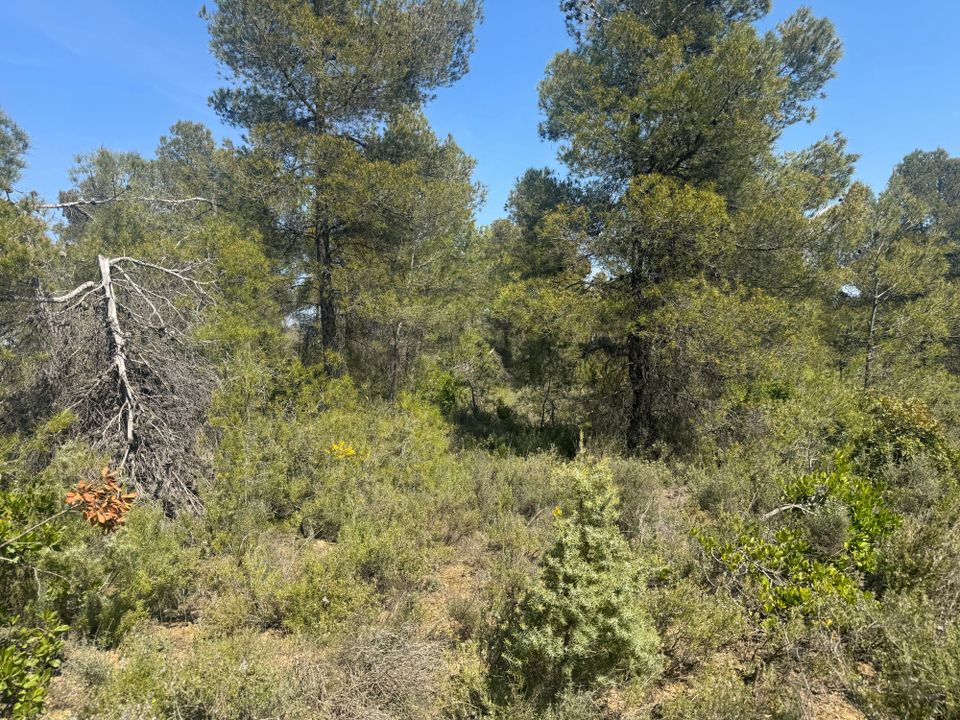 Tomt i Cretas, Teruel - bilde 4